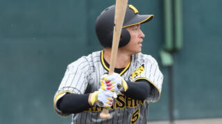 プロ野球の連続安打記録の歴代は誰なの？リーグ別順位を紹介！