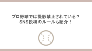 プロ野球では撮影禁止されている？SNS投稿のルールも紹介！