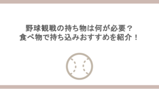 野球観戦の持ち物は何が必要?食べ物で持ち込みおすすめを紹介!
